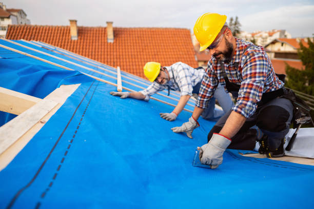 Best Roof Gutter Cleaning  in Addis, LA